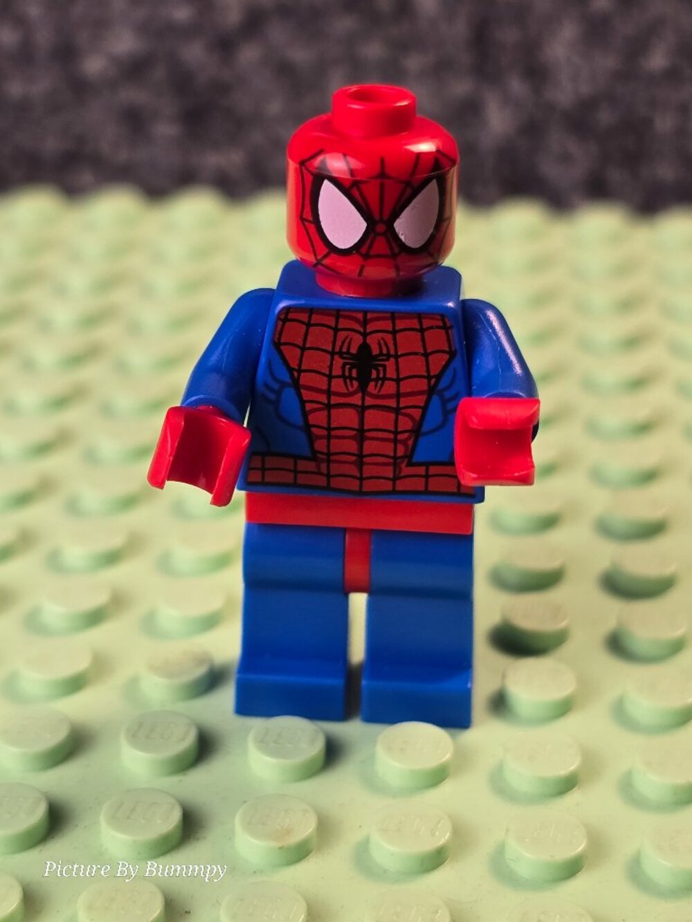 LEGO Marvel Super Heroes Spider-Man minifigure, specifically identified by catal